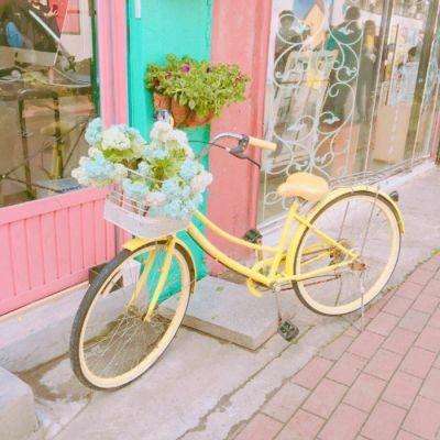 火狐体育APP手机app下载