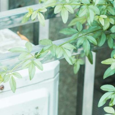 金沙集团9500官网app下载截图